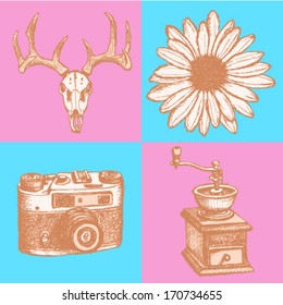 Deer skull, daisy, coffee mill and retro photo camera, hipster sketch background
