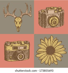 Deer skull, daisy and retro photo camera, hipster sketch background