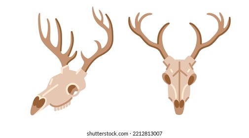 Deer skull  dead animal bone  reindeer skeleton  Front   side view  Witch mystical attributes  witchcraft  Flat vector cartoon hand drawn isolated illustration 