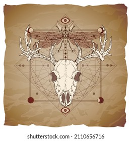 Deer skull, dragonfly and geometric symbol on vintage paper background with torn edges. Abstract mystic sign. Image in sepia and red color.