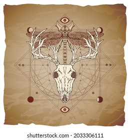 Deer skull, dragonfly and Sacred geometric symbol on vintage paper background with torn edges. Abstract mystic sign. Image in sepia and red color.