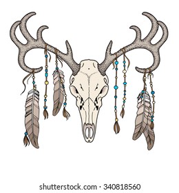 Deer skull with feathers. Vector Illustration