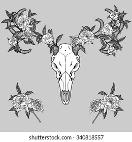 Deer skull with flowers. Vector Illustration