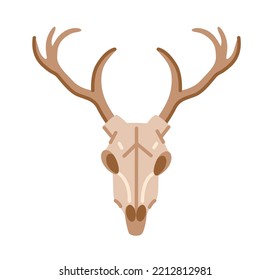 Deer skull front view cartoon hand drawn isolated illustration. Dead animal bone, reindeer skeleton. Witch mystical attributes, witchcraft. Flat vector element.