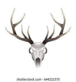 Deer skull front view isolated on white photo-realistic vector illustration
