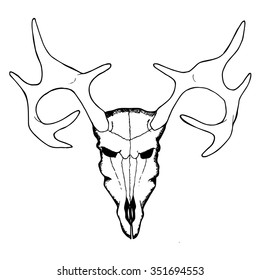 Deer skull. Graphic vector black and white illustration.