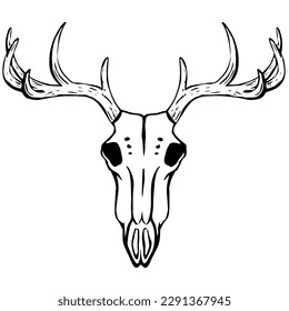 Deer skull. Hand drawn black line art vector illustration. Death symbol. Doodle simple skull skeleton for halloween,  archaeological, paleontological, magic, alchemy poster, book, game, web design