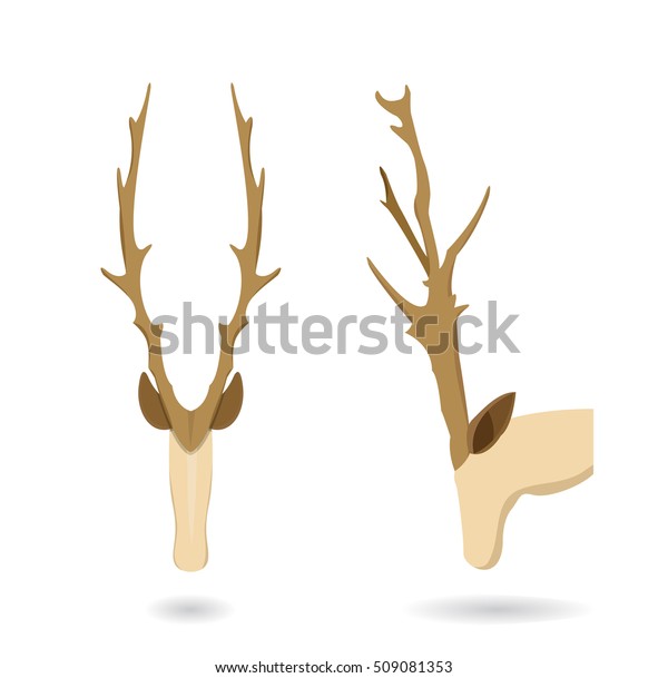 Deer Skull Horn Flat Home Decoration Stock Vector Royalty Free