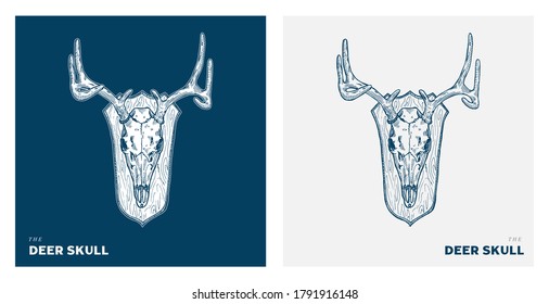 Deer Skull illustration on the wall. Hand drawn vector