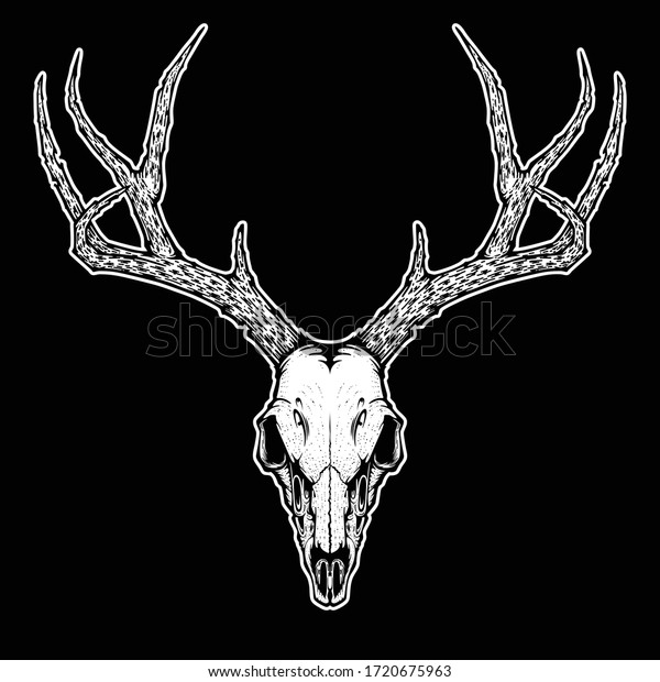 Deer Skull Isolated Background Vector Illustration Stock Vector ...