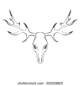 Deer skull isolated on white background