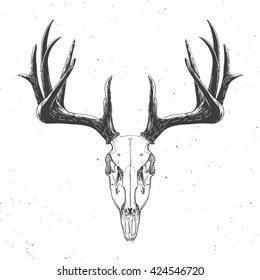 deer skulls drawings