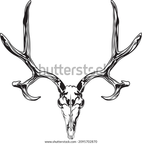 Deer Skull Svg Design Hunter Logo Stock Vector (Royalty Free ...