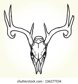 Deer skull vector