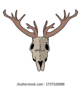 Deer skull vector clipart. Forest antler flat color illustration. Hand drawn forest animal horn doodle style. For woodland graphic, rustic nature naive. 
