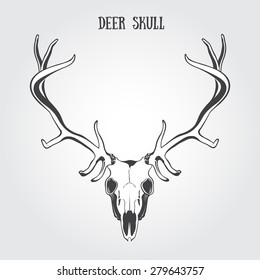 Deer Skull. Vector illustration in black and white style