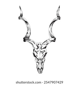 Deer skull vector illustrations in white background