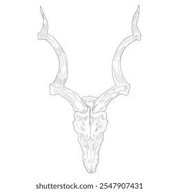 Deer skull vector illustrations in white background