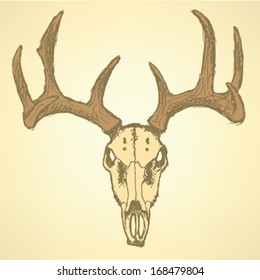 Deer skull, vector sketch background