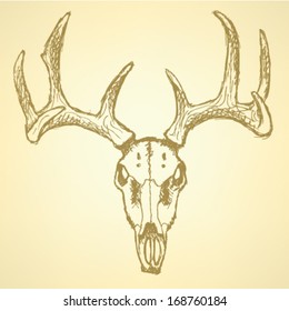 Deer skull, vector sketch background