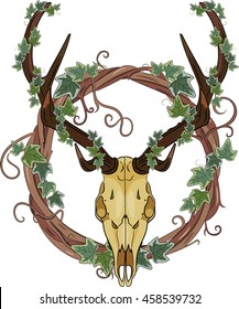 Deer skull and Vine wreath entwined with ivy, isolated on white, vector illustration