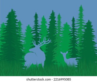 Deer spotted in the woods (amongst the pine trees and tall grass)