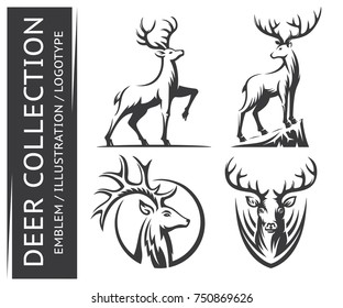 Deer, stag collections emblem, illustration. logotype on a white background