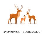 Deer, stag and fawn. Flat line vector illustration.