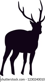 deer at Stand on white background