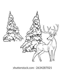 Deer standing among snowy conifer trees hand drawn black white outline vector illustration. Minimalist winter forest scene with doe stag for seasonal prints, rustic stationery and New Year packaging.
