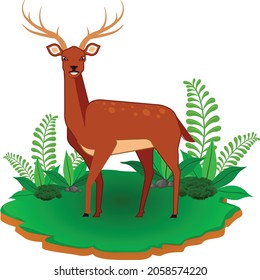 Dibujo de dibujos vectoriales de pie de venado e ilustración
