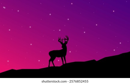 Deer standing at night under the starlight