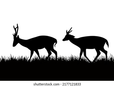 parado de ciervos sobre césped ilustración vectorial en blanco y negro