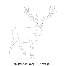 deer stands drawing lines, vector, white background