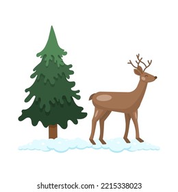 A deer stands next to a spruce tree. vector illustration