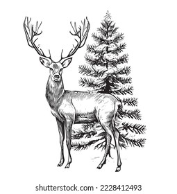 Deer stands on the background of the Christmas tree sketch hand drawn in engraving style Vector illustration.