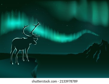 A deer stands on the edge of a cliff and looks at the northern lights