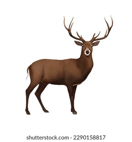 deer with style hand drawn digital painting illustration