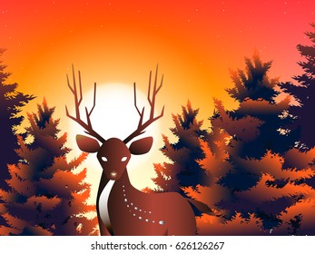 deer and sunset in pine wood at evening