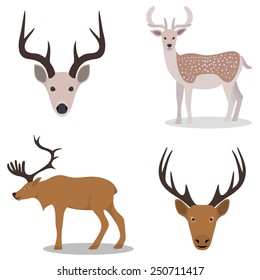 Deer and their head - isolated on white