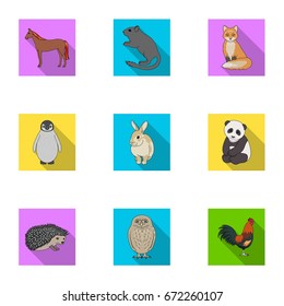 Deer, tiger, cow, cat, rooster, owl and other animal species.Animals set collection icons in flat style vector symbol stock illustration web.