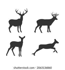 deer various models vector design silhouette