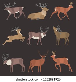 Deer in various poses color flat icons set