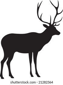 deer vector