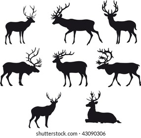 Deer vector