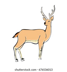 deer vector animal