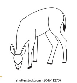 Deer Vector Art Graphics Template For Business And Company