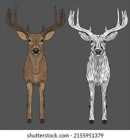 Deer Vector Art Realistic Color Drawing, hunting Deer Illustration