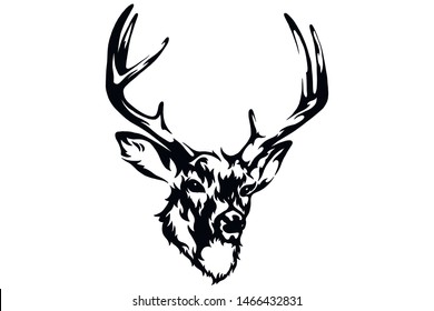 Deer vector black and white hand drawn illustration.