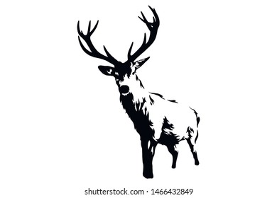 Deer vector black and white hand drawn illustration.